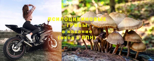 амф Балабаново