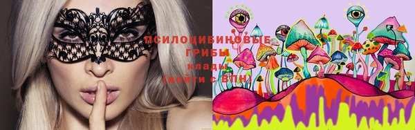 винт Балахна