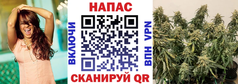 МАРИХУАНА план Вяземский